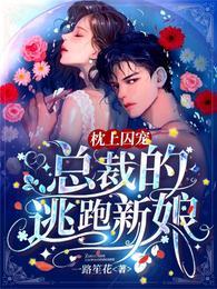 枕上囚宠总裁的逃跑新娘在线看