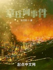 庄河教育局局长事件