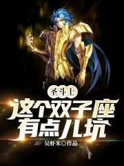lc双子座圣斗士
