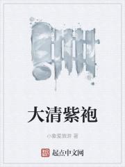 紫袍是什么官