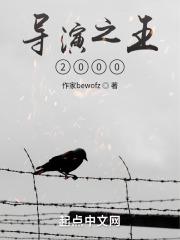 导演王之的作品