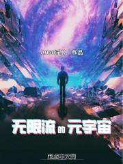 无限流的元宇宙123