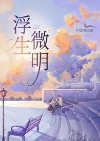 浮生微明讲的什么故事