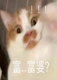 凋零于此