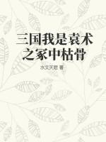 我观袁术如冢中枯骨
