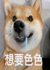 当她的狗奴