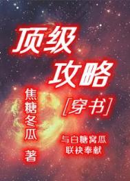 顶级攻略穿书TXT百度