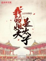 我的姐夫是太子精校轩阁