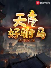 唐朝好驸马怎么样