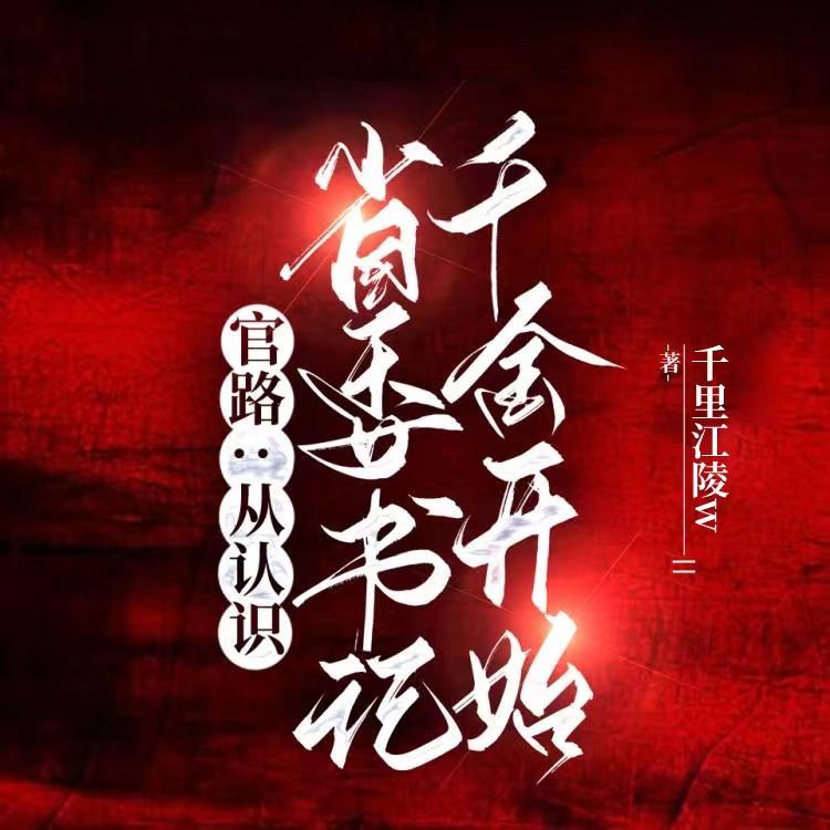 从基层到省委书记的官场