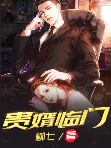 贵婿临门免费阅读全文无广告
