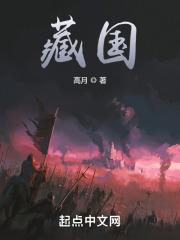藏国TXT免费