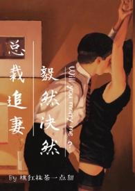 总裁追妻没商量