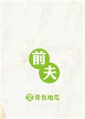 前夫求爱记