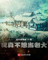 我真不想当老大飞卢