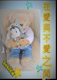 爱与不爱之间作者