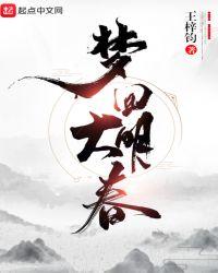 梦回大明春 txt