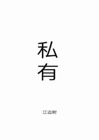 私有制基础上商品经济的基本矛盾是