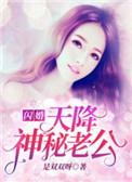 闪婚神秘老公从天降免费阅读