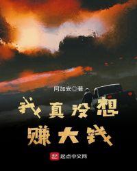 我真没想赚大钱啊