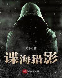 神偷谍影