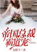 书名帝国总裁霸道宠