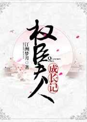 权臣夫人的悠闲日孑格格党