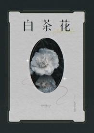白茶花的含义