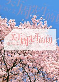 周先生说