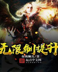 无限提升系统txt