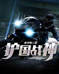 护国战神叶凡