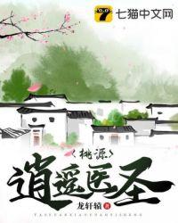 桃源小村医逍遥著