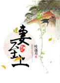 吾妻至上演员表