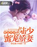 婚途漫漫陆少求放过