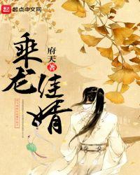 乘龙佳婿主角身世