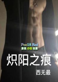 炽阳之帜材料