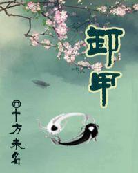 卸甲多少钱