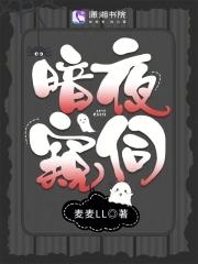 暗夜 在线阅读