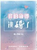 我的新郎逃婚了无广告阅读