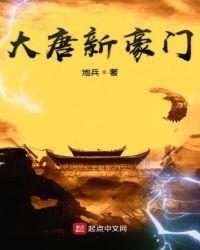 大唐新豪门起点中文网