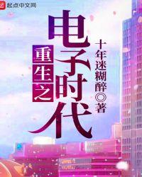 重生之电子帝国