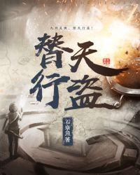 替天行盗无弹窗