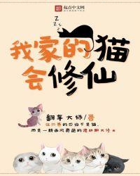 我家的小花猫真可爱