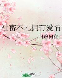 社畜不配拥有爱情cp是谁