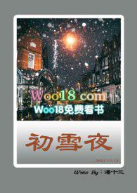 除夜雪这首诗的意思