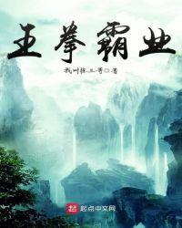 霸王拳图片