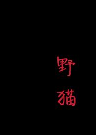 野猫(1v1 H)河豚没有毒