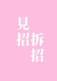 见招拆招2012