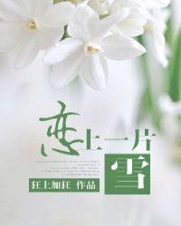 恋上一片雪百度