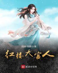 红楼大老爷升官路